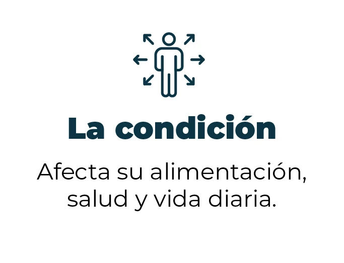 La condición afecta su alimentación, salud y vida diaria.